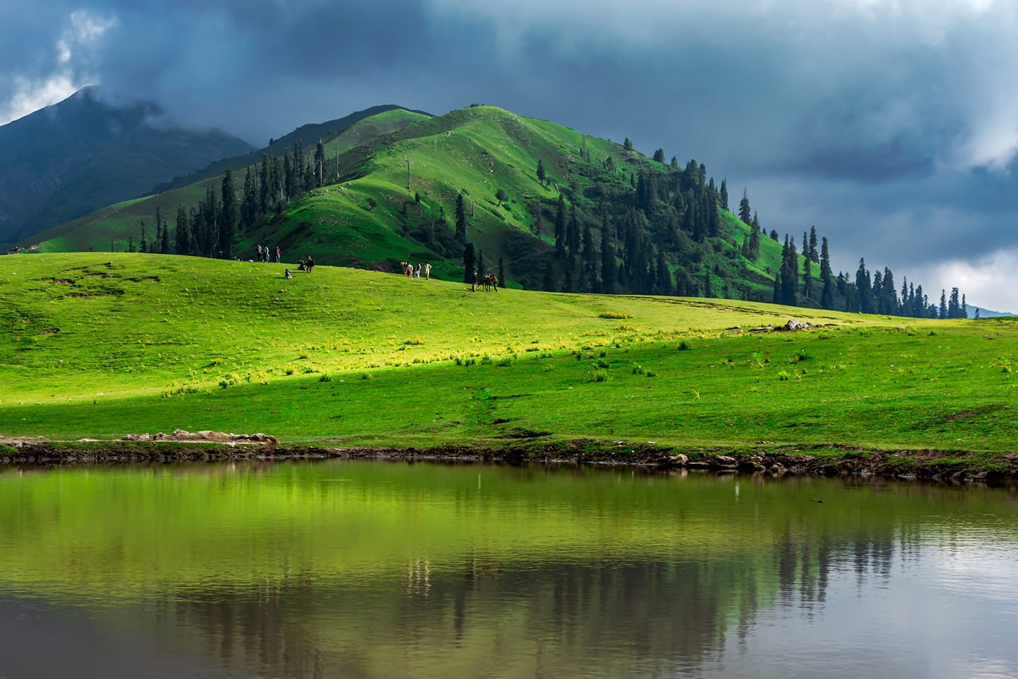 Shogran - Siri paye