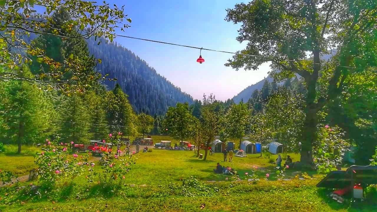 Sharan Forest